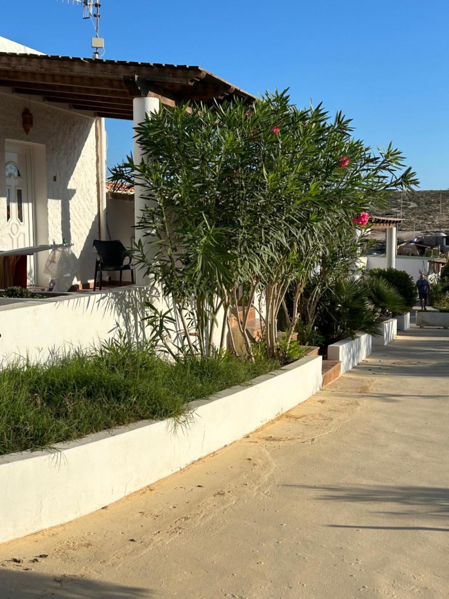 Oasi Di Casablanca Otel LMP Dış mekan fotoğraf