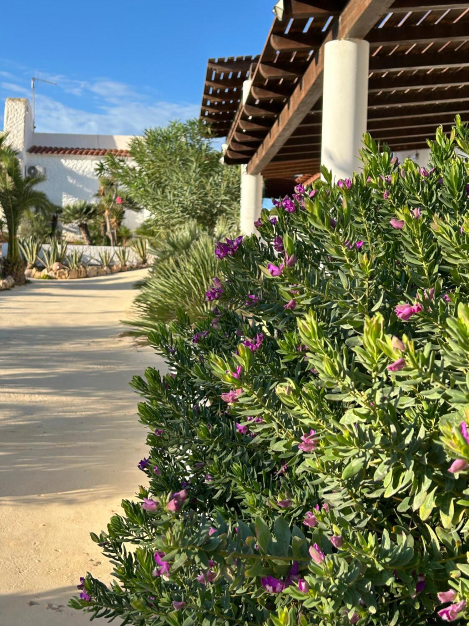 Oasi Di Casablanca Otel LMP Dış mekan fotoğraf
