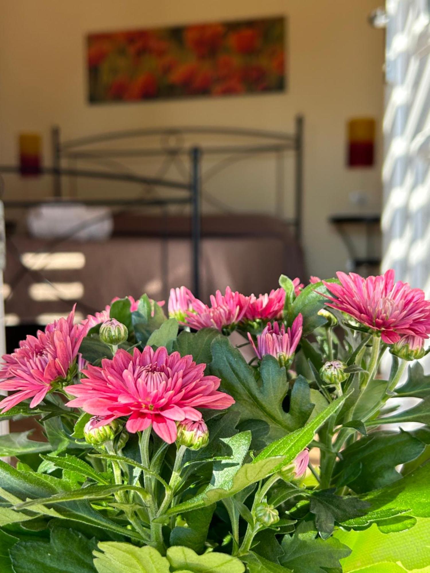 Oasi Di Casablanca Otel LMP Dış mekan fotoğraf
